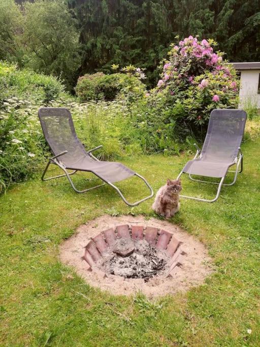 Ferienwohnung Fuer Naturfreunde Rathmannsdorf Zewnętrze zdjęcie