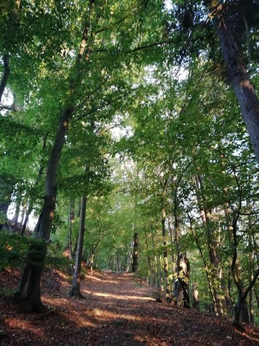 Ferienwohnung Fuer Naturfreunde Rathmannsdorf Zewnętrze zdjęcie