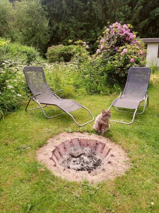 Ferienwohnung Fuer Naturfreunde Rathmannsdorf Zewnętrze zdjęcie